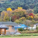 하서중학교 이미지