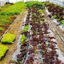 합천가든 이미지