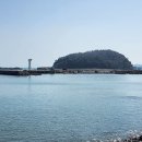 금산면사무소 이미지