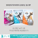 윤스강아지 이미지