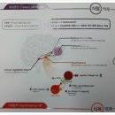 방배세명약국 이미지