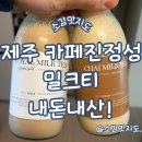 제주 카페진정성 종점 밀크티 내돈내산!