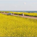 구좌 해안도로 이미지