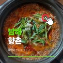 향촌식당 | 남해 향촌식당 멸치쌈밥 맛집 가성비 여행코스 추천