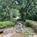 선정공원 이미지