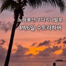 흥자당구클럽 | 노랑풍선 코타키나발루 패키지 코스 및 투어 자유여행까지 버릴게 없는 상품 후기