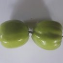 이순농장 이미지