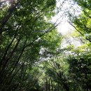 남해 금빛 | 남해 보리암 방문 후기: 금산의 비경과 상세 주차 정보 📝