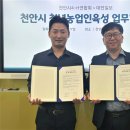 대전일보 이미지