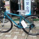 프로카 정비 이미지