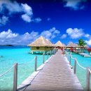 SUMMER BAND CONCERT 이미지