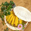 라탄공예 이미지