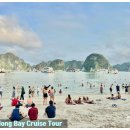 서프라이즈 이미지