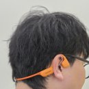 쉬네일 | 블라우풍트 골전도 이어폰 후기 착용감 완전 편안