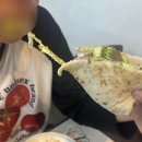 양평동 피자 맛집 프레고 평일 웨이팅 후기, 온누리상품권 사용 가능