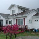 산새소리물소리 이미지