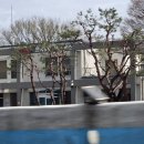 경충대로 2092번길 1 이미지