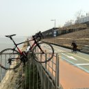 싱싱0202 이미지