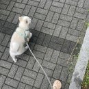 남천초등학교 | 부산 남천동 빵집 오픈런했던 동양사라다 추억의 사라다빵