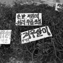 역전장 이미지
