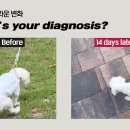 안양유지사료 이미지