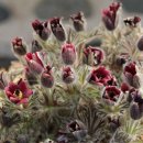 천안박물관 이미지