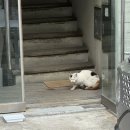 르핸드네일 | 홍대입구역에 위치한 오르네일 홍대점 후기