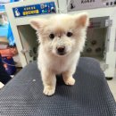 군산시-01116 이미지