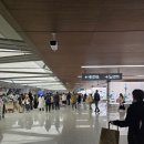 크린토피아 서김포지사 | 상하이 여행 Day1 (하얏트 온 더 번드, 싱달루, 상하이 타워)