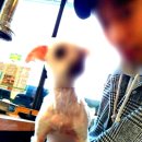 가평식당 이미지