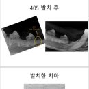 튼튼동물치과병원 이미지