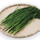 웰빙건강랜드 이미지