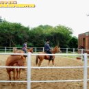 청수승마체험장 이미지