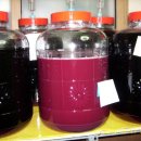 복분자. 감. 포도. 유자. 오디. 매실. 단호박. 배 와인식초와 복분자즙 가격 인하 하였습니다. 이미지