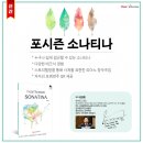 미디어포시즌 이미지