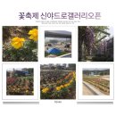 신야드로갤러리카페 이미지