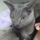 (주)게임투게더 | 돌아온 일상글 우리 나으리 기엽죠 + 왕과사는남자, 호퍼스 후기