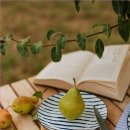 헤어리치 이미지