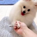 간식생각 이미지