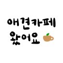 얼렁오시개 이미지