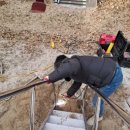 광양동초등학교 이미지