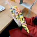 마두로담 이미지