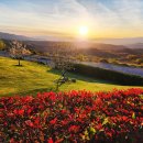 태양의 노래(피조물의 노래) 이미지