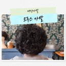 모두스가발