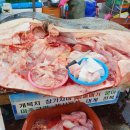 대일상회 이미지