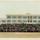 송정중앙초등학교 이미지