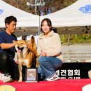 서울애견 이미지