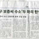 진촌농장 네이버블로그