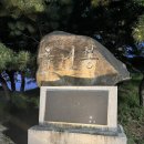 예리미네젓갈 이미지
