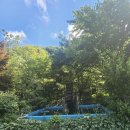 숲속의 펜션 이미지